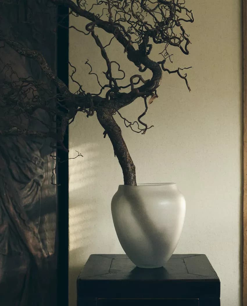 Image 1 of 1: Media content