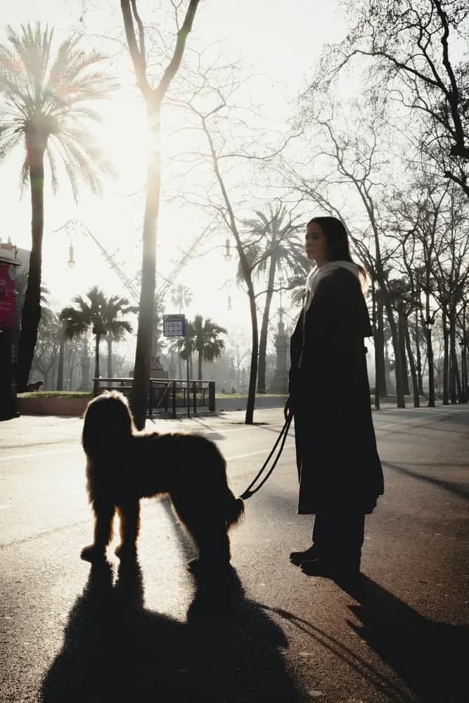 Una persona con un abrigo largo pasea a su perro por un sendero soleado de un parque bordeado de palmeras.