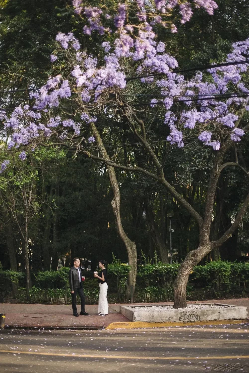 Two people are talking on the sidewalk under a purple flowering tree, in an urban environment with vegetation and natural light.